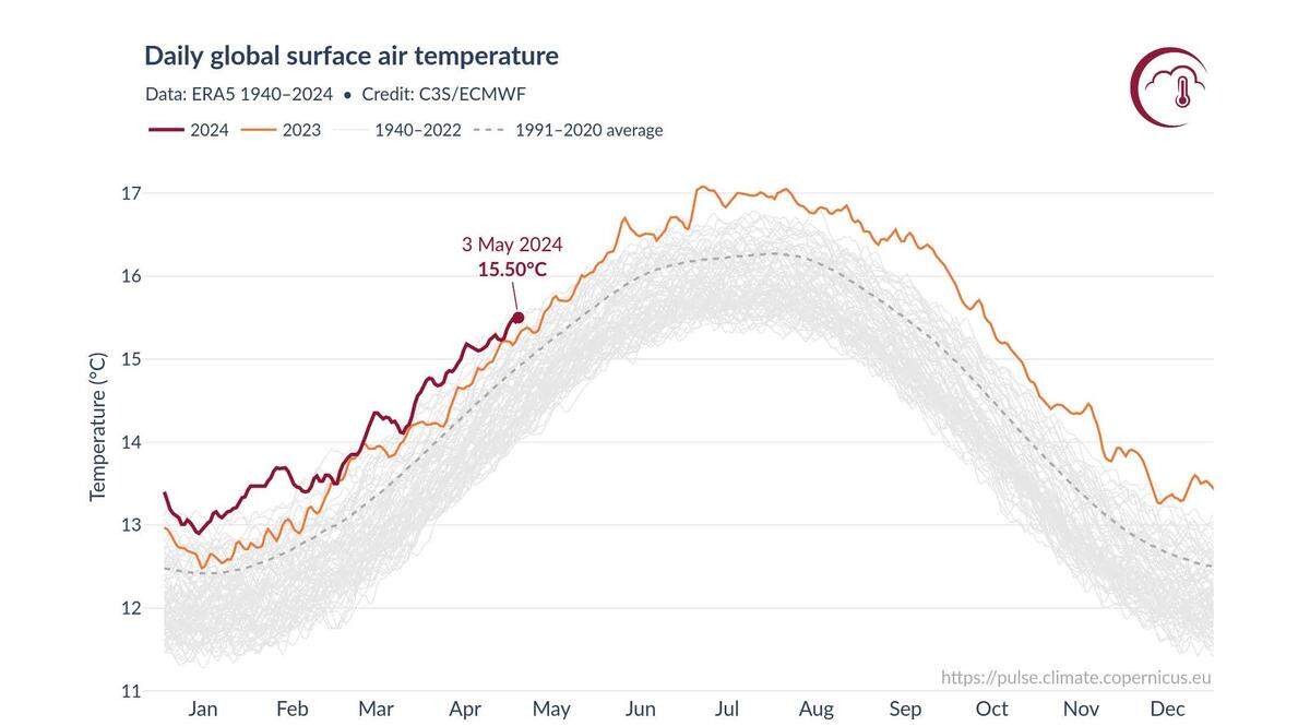 The daily global surface temperature