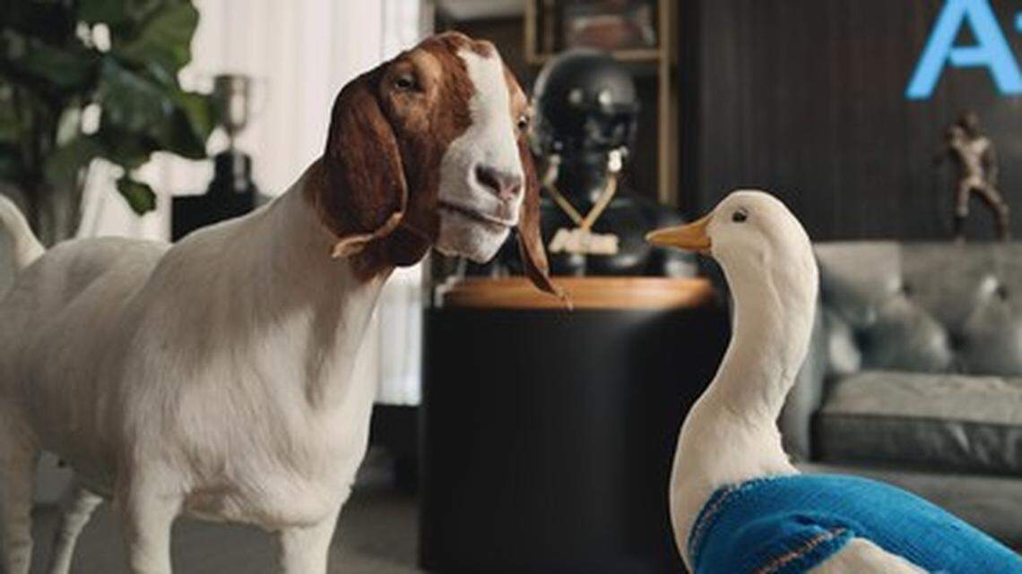 Aflac is introducing a new character, Gap Goat, who serves as a nemesis to America’s favorite spokesduck in a series of humorous commercials airing throughout the season.