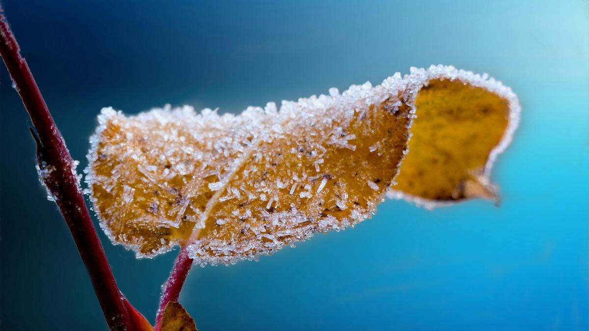 The first frosts are on the way for Georgia.