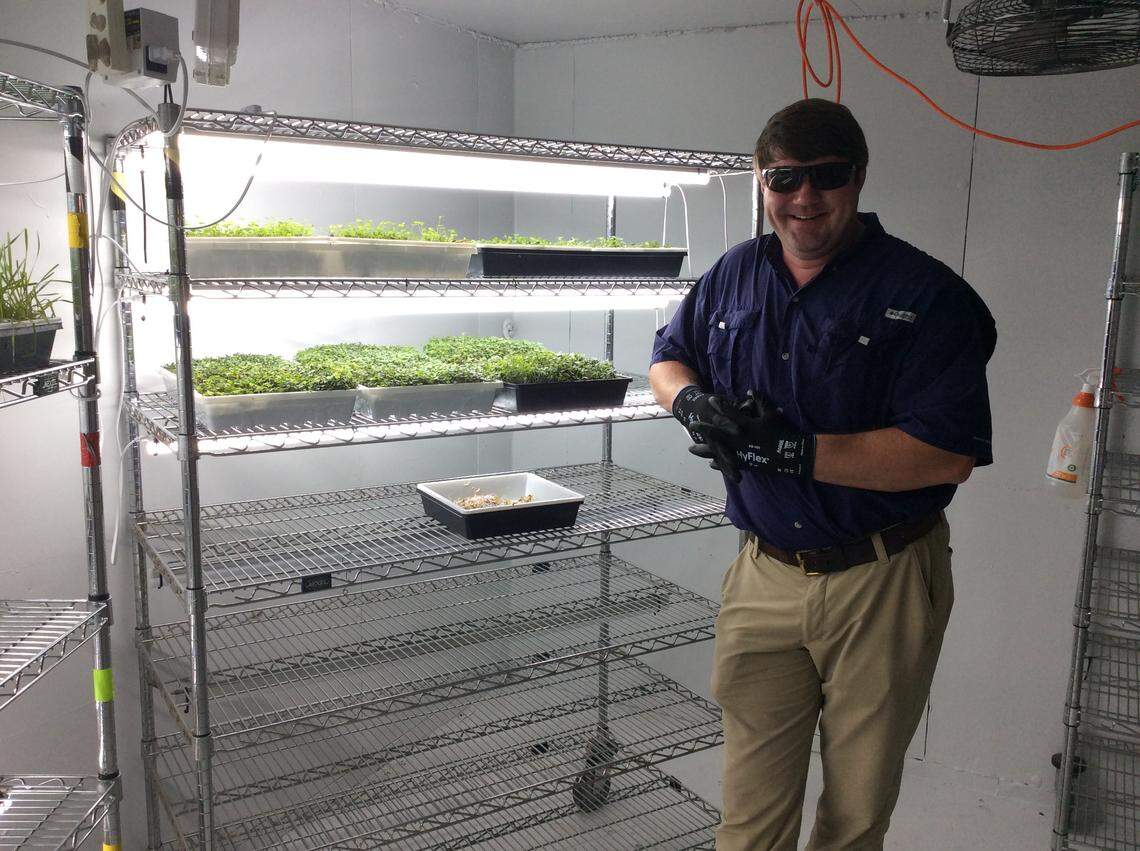 Crawford Land recently purchased property at 1231 Midway Drive in midtown and is starting up an urban farm, selling fresh produce to local restaurants.