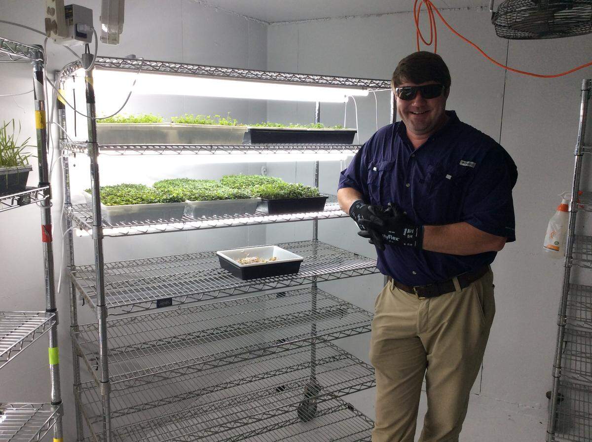 Crawford Land recently purchased property at 1231 Midway Drive in midtown and is starting up an urban farm, selling fresh produce to local restaurants.