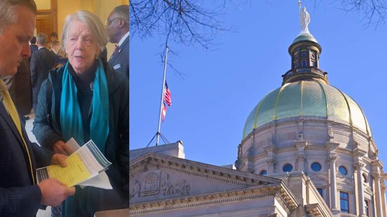 Hundreds of Georgians press legislators about environmental impact of data centers