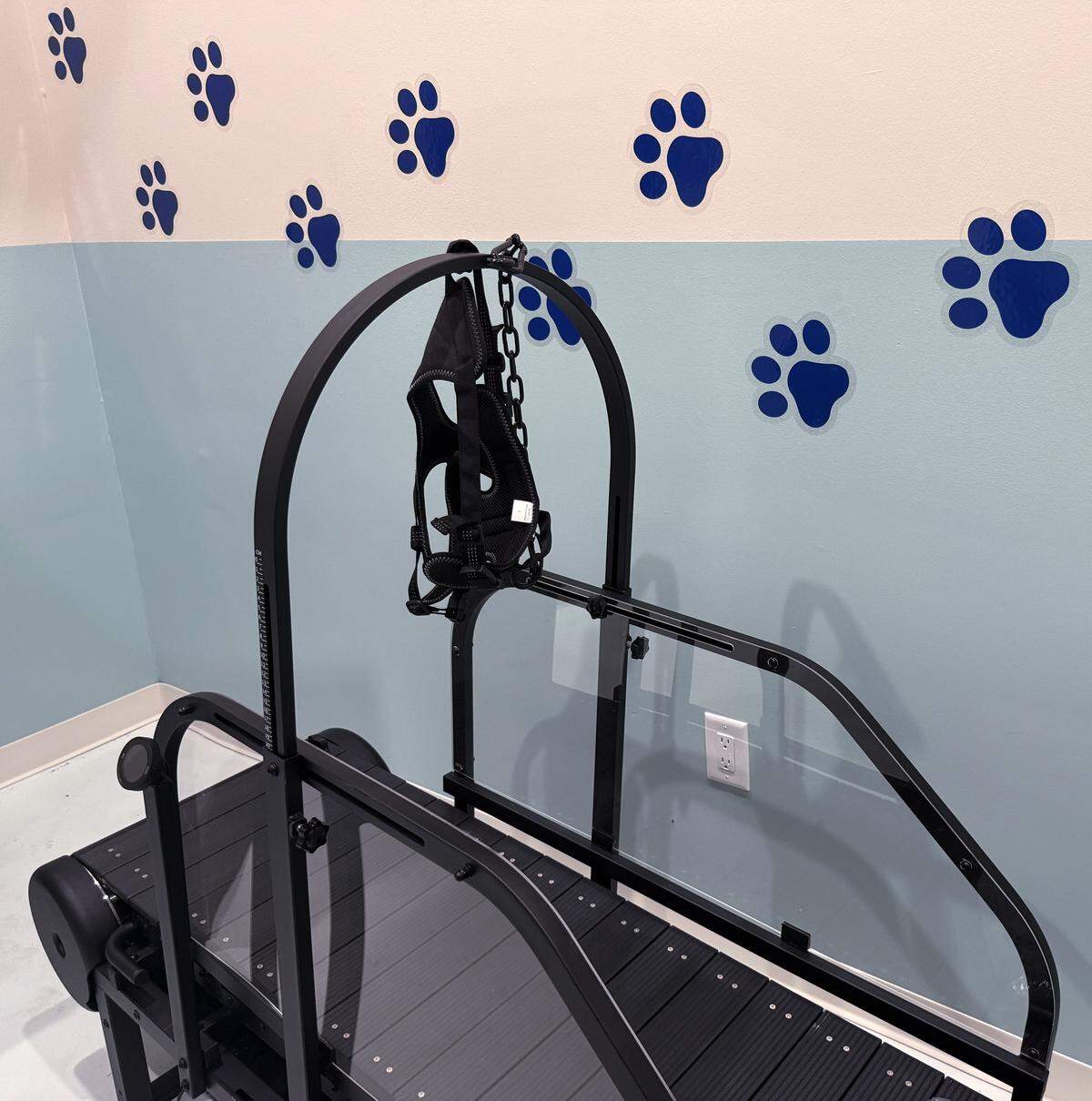 Exercise and health plans will be offered soon at Ruffined Pet Wellness Club, 2210 Wynnton Rd., suite 113, in Columbus, Georgia.