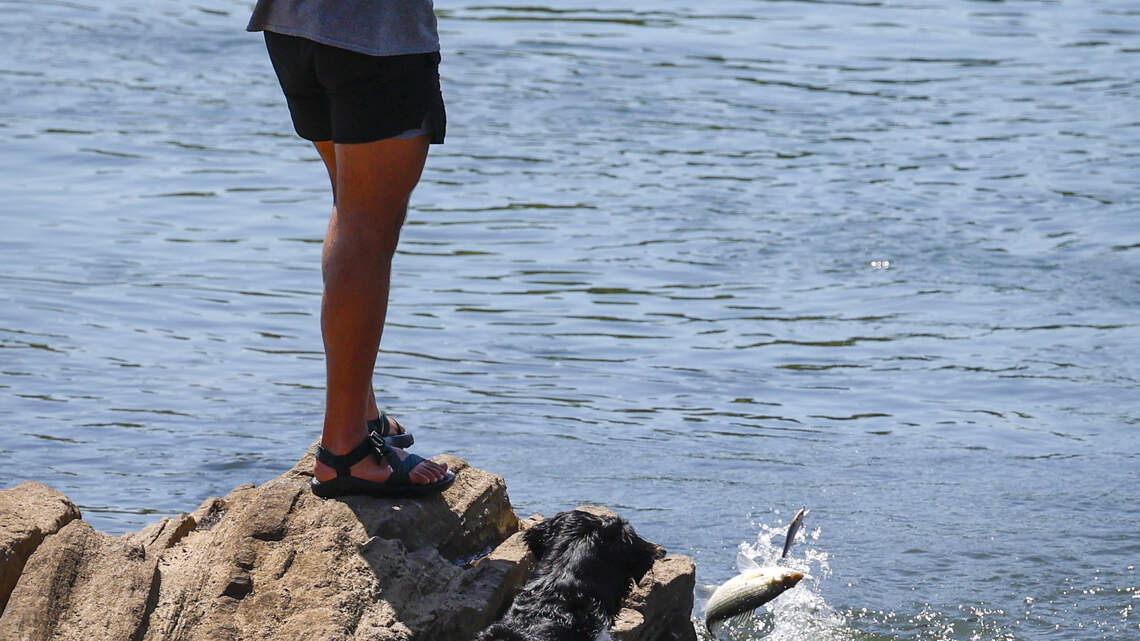 2 SC spots among the best fishing destinations for Father’s Day in US, report says. Here’s where