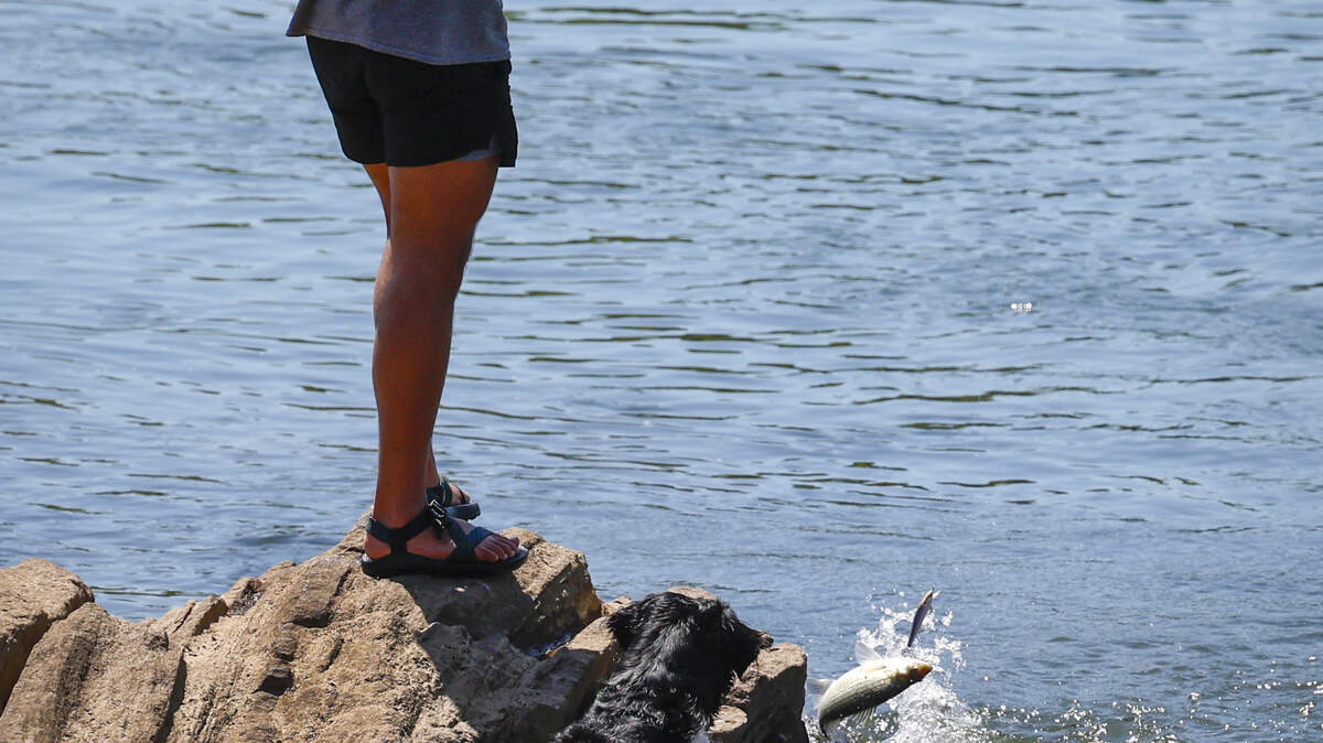 These are the best fishing spots in SC for Father’s Day.