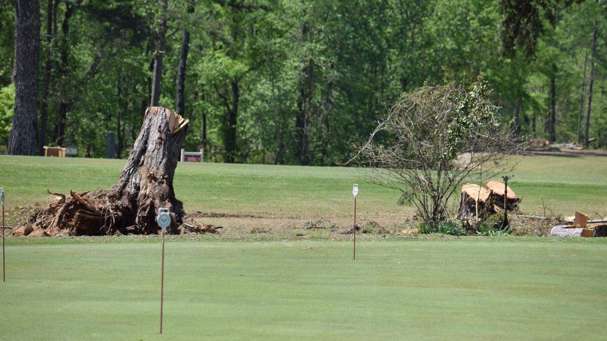 Multiple stumps near a practice putting green at Bull Creek Golf Course in Columbus were seen Thursday after the course was damaged during Sunday’s storm, which included a tornado and killed a father and son on the course. 4/10/2025.