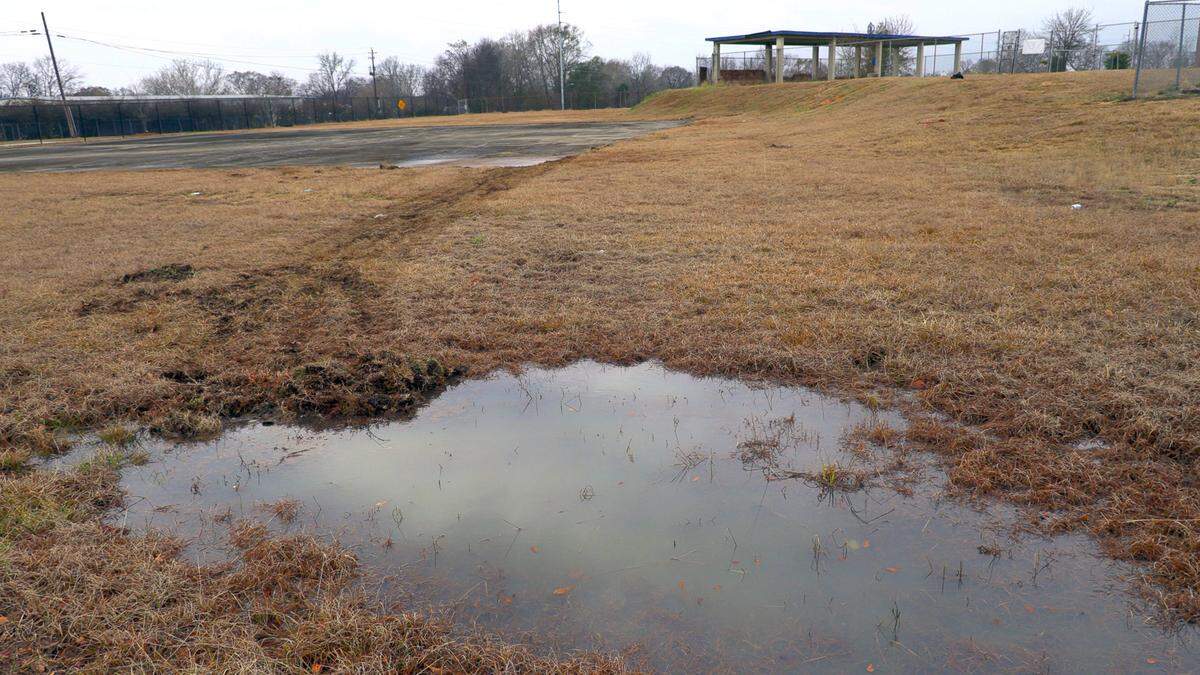 The nonprofit organization Turn Around Columbus plans to break ground on Martin Luther King Jr. Day for the Dr. George Washington Carver Victory Garden & Farm. The plan is to construct it on the 10 vacant acres behind the Marshall Success Center and Davis Elementary School and along Martin Luther King Jr. Boulevard.