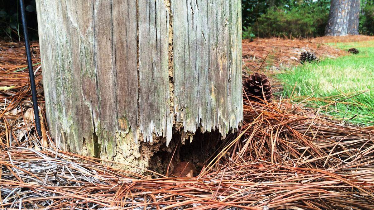 Mike Owen/mowen@ledger-enquirer.comThis utility pole on Auburn Avenue looks like it needs attention.