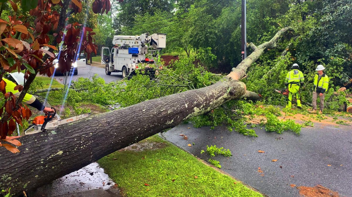 A crew works Monday morning, April 7, 2025, to remove a tree blocking Leonard Street near Cherokee Avenue in Columbus that was knocked down by a storm. 04/07/2025