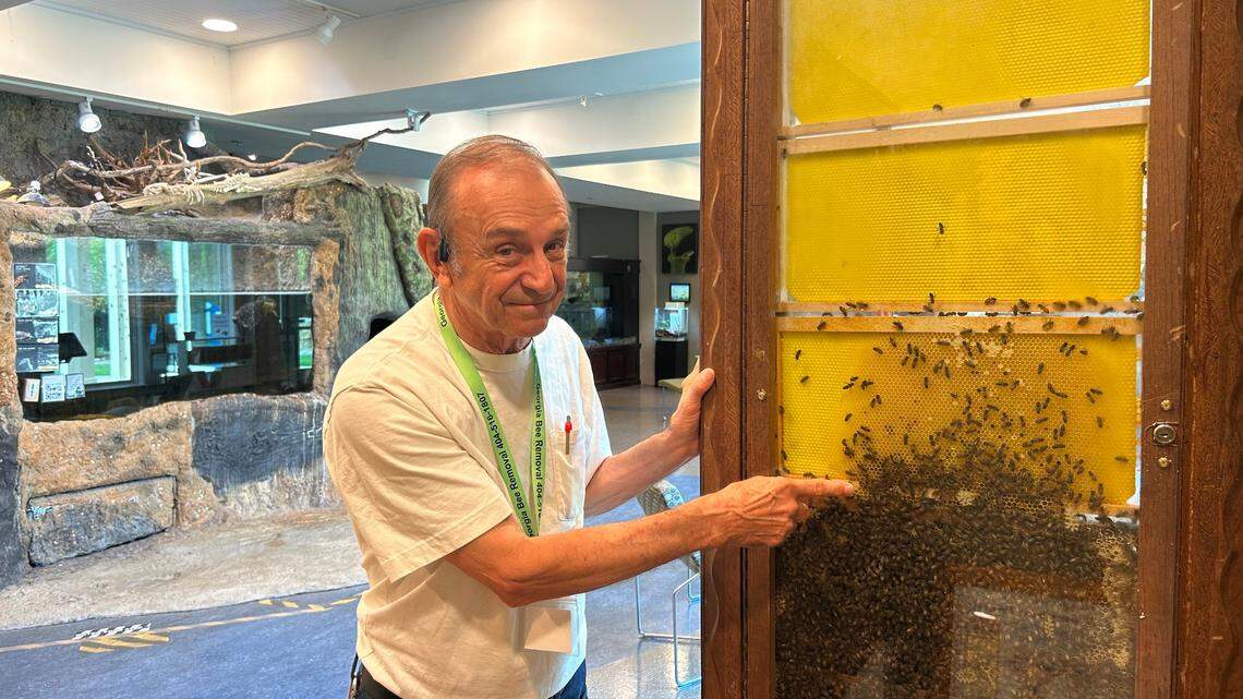 ‘People are just in awe.’ Columbus glass beehive shows secret life of honeybees