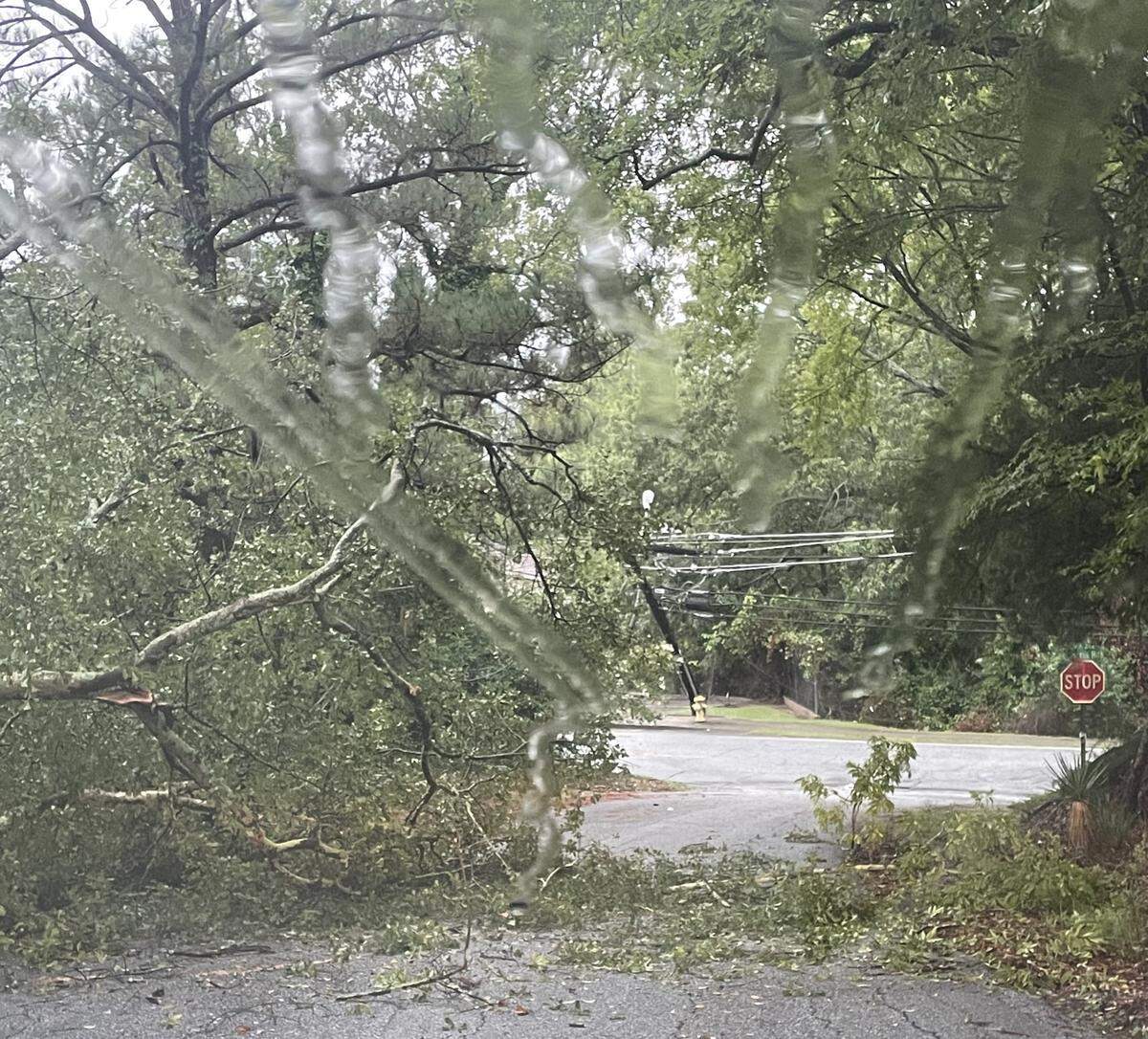 Around 7 a.m. Sept. 26, 2024, a tree fell on Fuller Street off Norris Road in Columbus, knocking down power lines and causing an outage. Power was restored and the tree debris was cleared later that day.