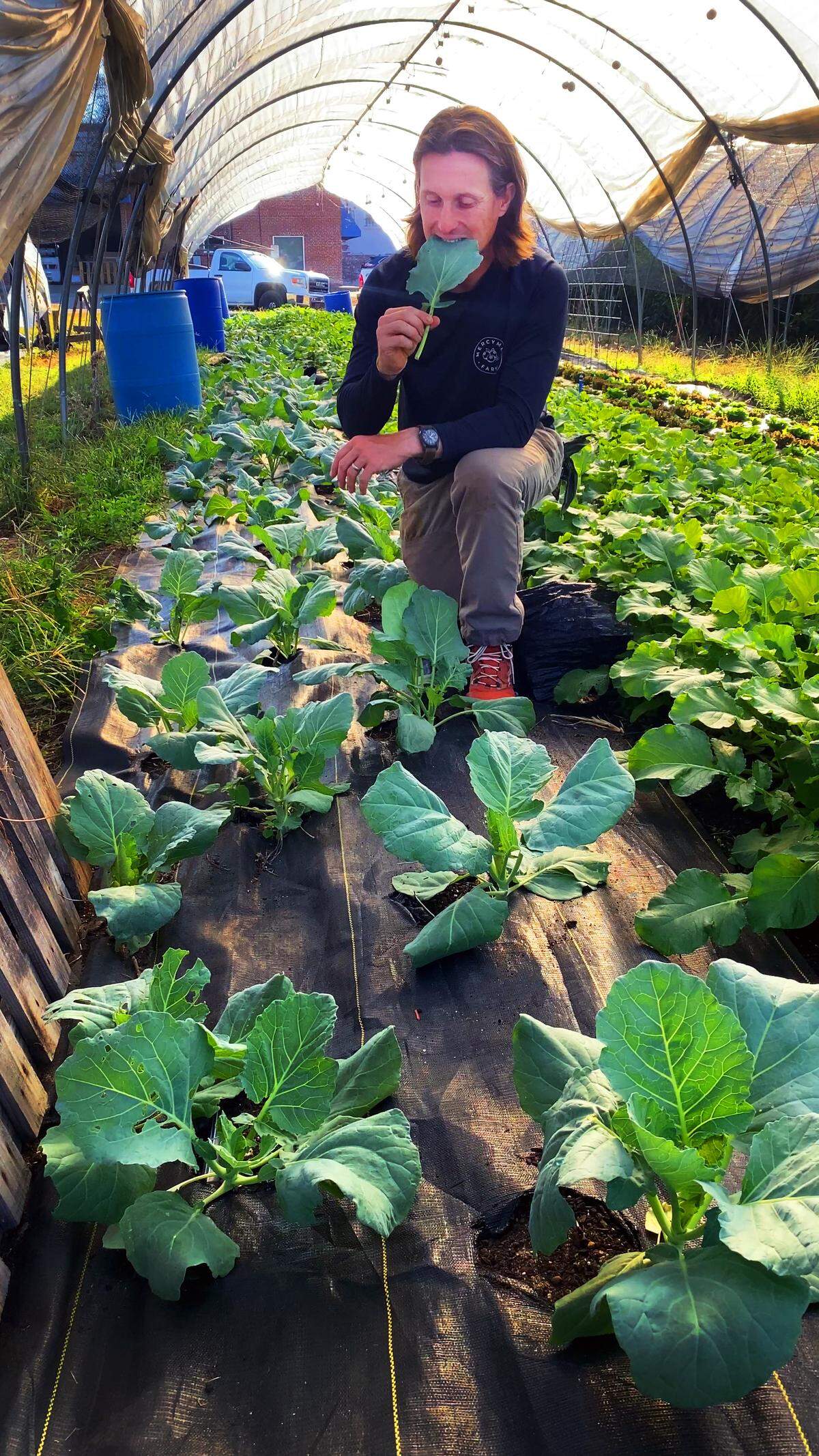 Keith Sims, the MercyMed Farm manager, tastes a collard green growing at MercyMed Farm in Columbus. The 3rd Annual Collards Cook-Off at MercyMed Farm is scheduled for Oct. 24, 2025, from 4-7 p.m. The event includes live music, food, vendors, fresh farm veggies and pumpkin decorating for kids. Admission is free, but the Collards Cook-Off tasting requires a $5 donation per person.