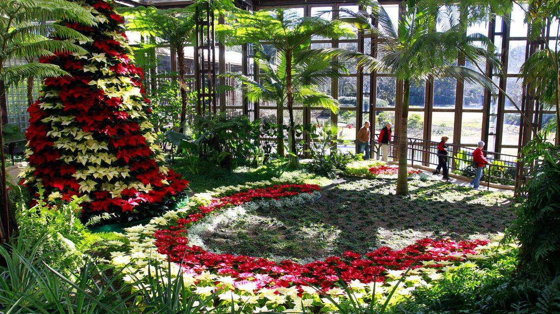 Mike Haskey mhaskey@ledger-enquirer.com Visitors to the Sibley Horticultural Center at Callaway Gardens walk past the large Poinsettia Tree in this December 2013 file photo. 
