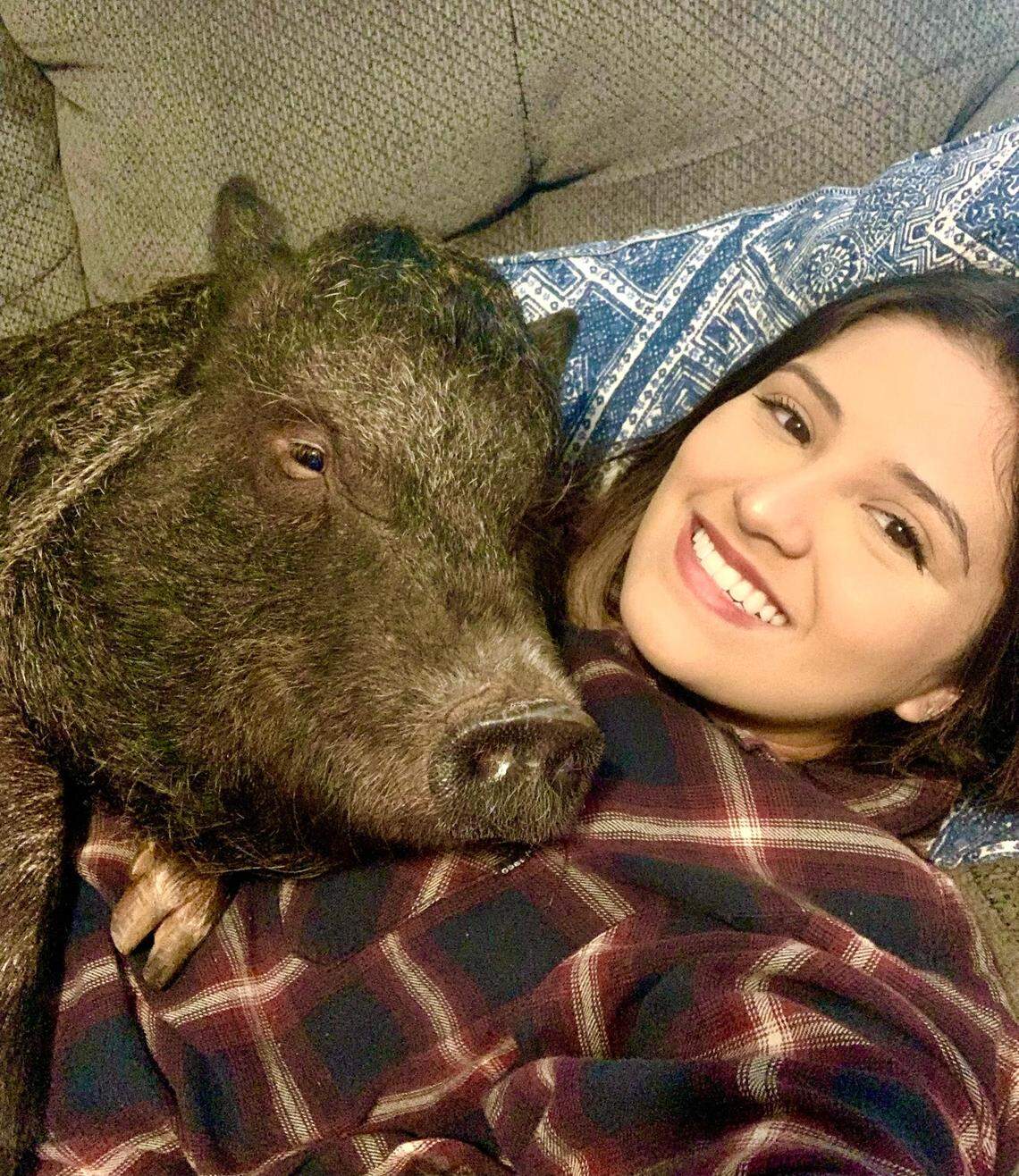 Gisele Lara with her pet pig named “prosciutto grace.”