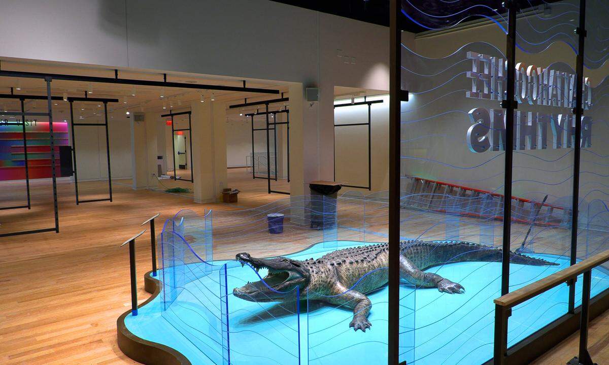 “Oscar” is an American alligator that’s 15 feet in length and weights about 800 pounds. “Oscar” came to the Columbus Museum after being illegally killed in the Chattahoochee River south of Columbus in 1986.