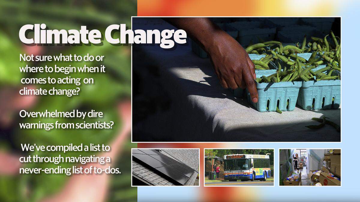 Eating plants, cutting food waste, and adding solar are among the things people can do to reduce their carbon footprint and address climate change.