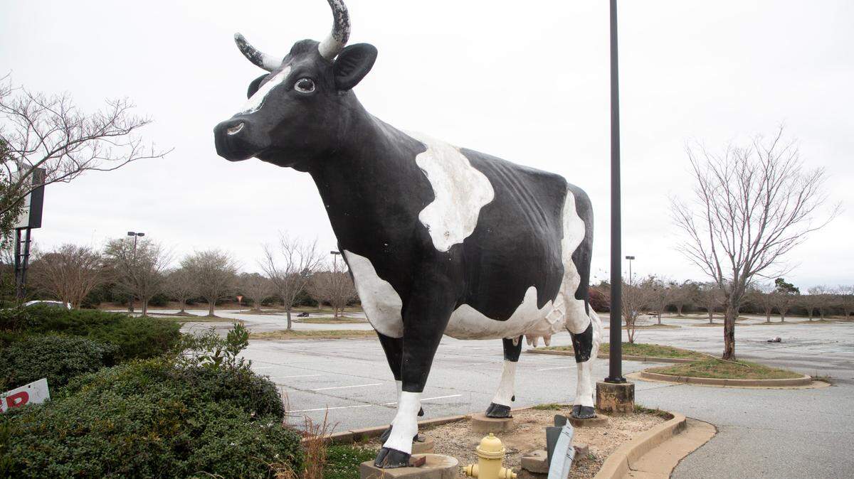 Kadie the Cow, originally installed in 1967 by Kinnett Dairies, at its current location at 2925 Manchester Expressway in Columbus, Ga. on March 9, 2022.