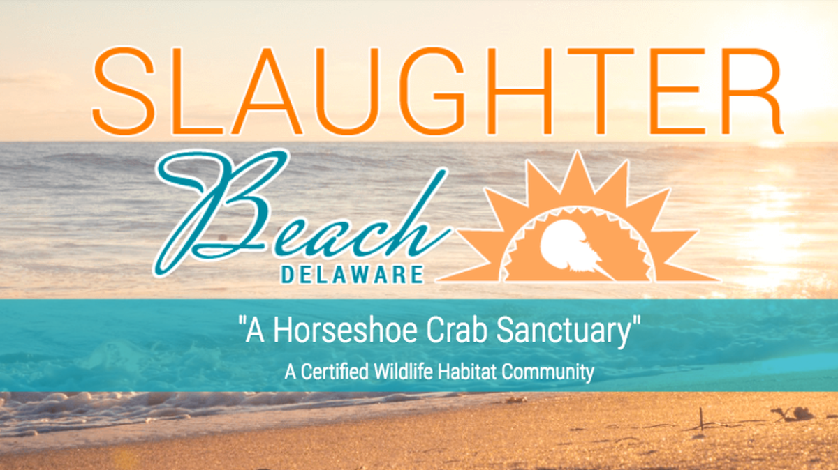PETA has suggested the city of Slaughter Beach change its name to Sanctuary Beach.