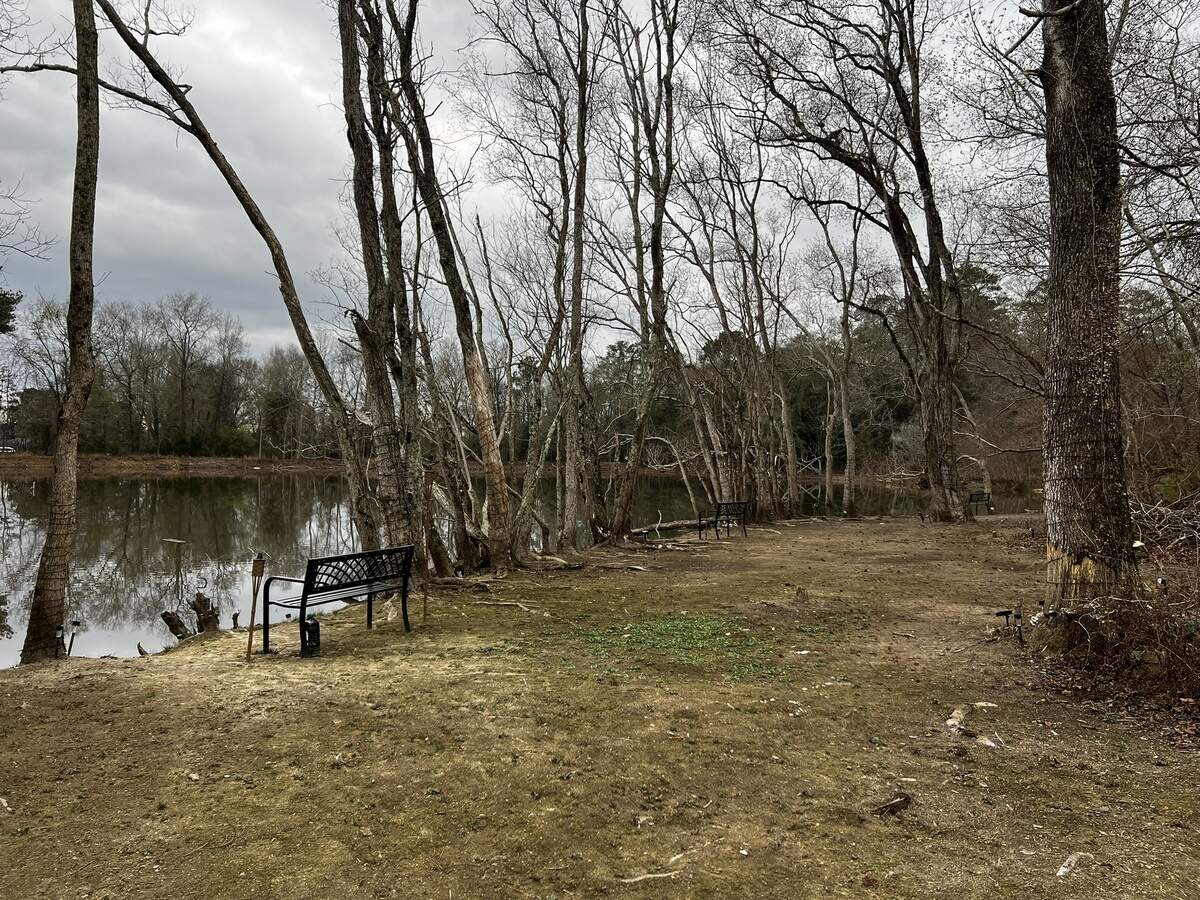 Columbus resident Karlene Forbes cleared brush, trash and other debris from Sears Lake to beautify the area for the neighborhood’s enjoyment after failing to determine whether it was the responsibility of the city or the homeowners association.