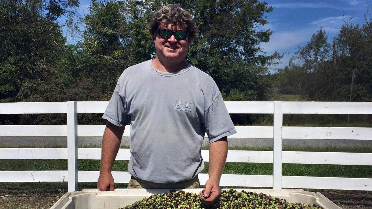 Easton Kinnebrew with his first year harvest of olvies at New Era Farms in Americus, Georgia.
