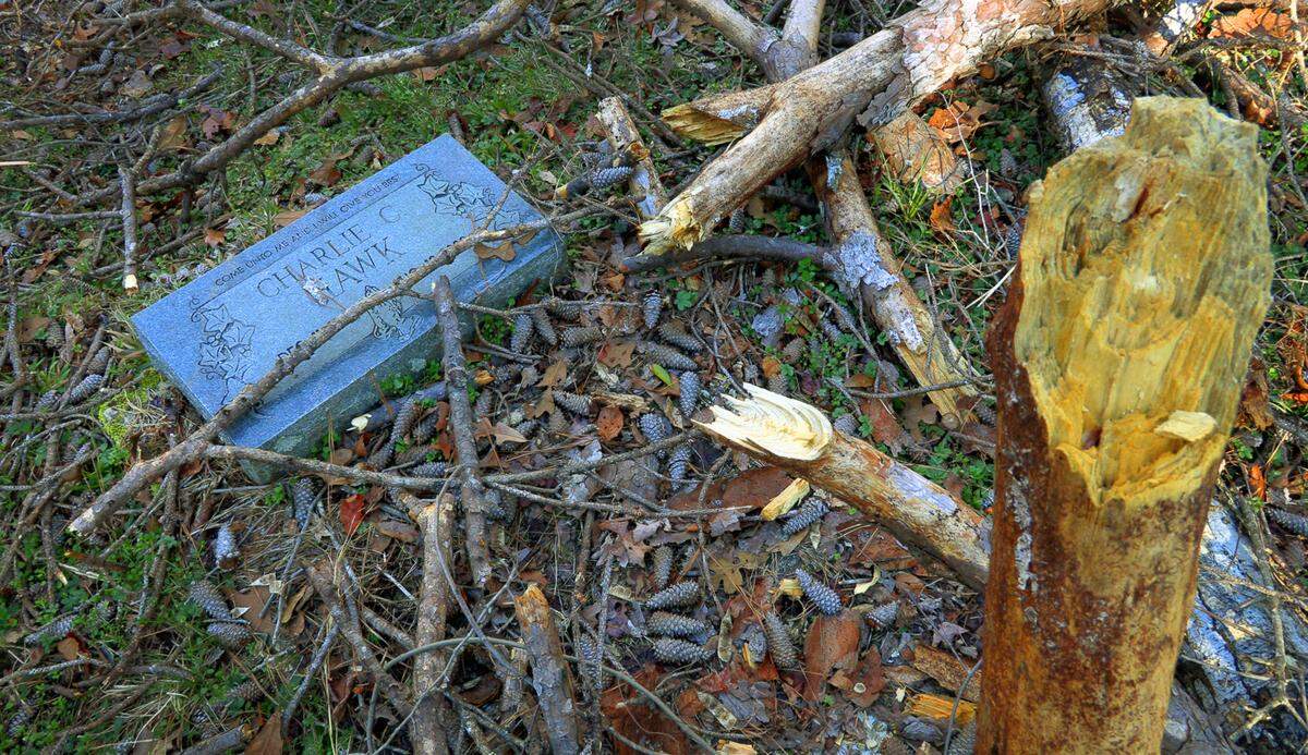 Falling trees and tree branches are a constant concern for Dan Bruner and James Hutchins, two men who have been working to clean up the grounds at Shippey Cemetery in Columbus, Georgia.