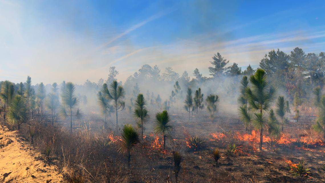 Good fire days are shrinking in Georgia. What it means for wildfires and smoke pollution