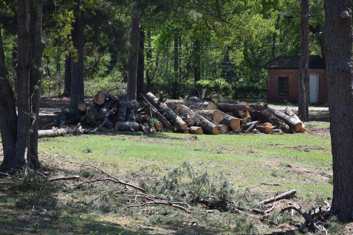The remnants of cut-up trees lie Thursday in a pile near the entrance of Bull Creek Golf Course in Columbus. The course had hundreds of downed trees from Sunday’s storm, which included a tornado and killed a father and son on the course. 4/10/2025