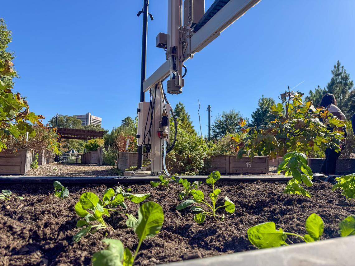 Georgia Tech Rural Computer Science Initiative Farmbot on campus garden bed.
