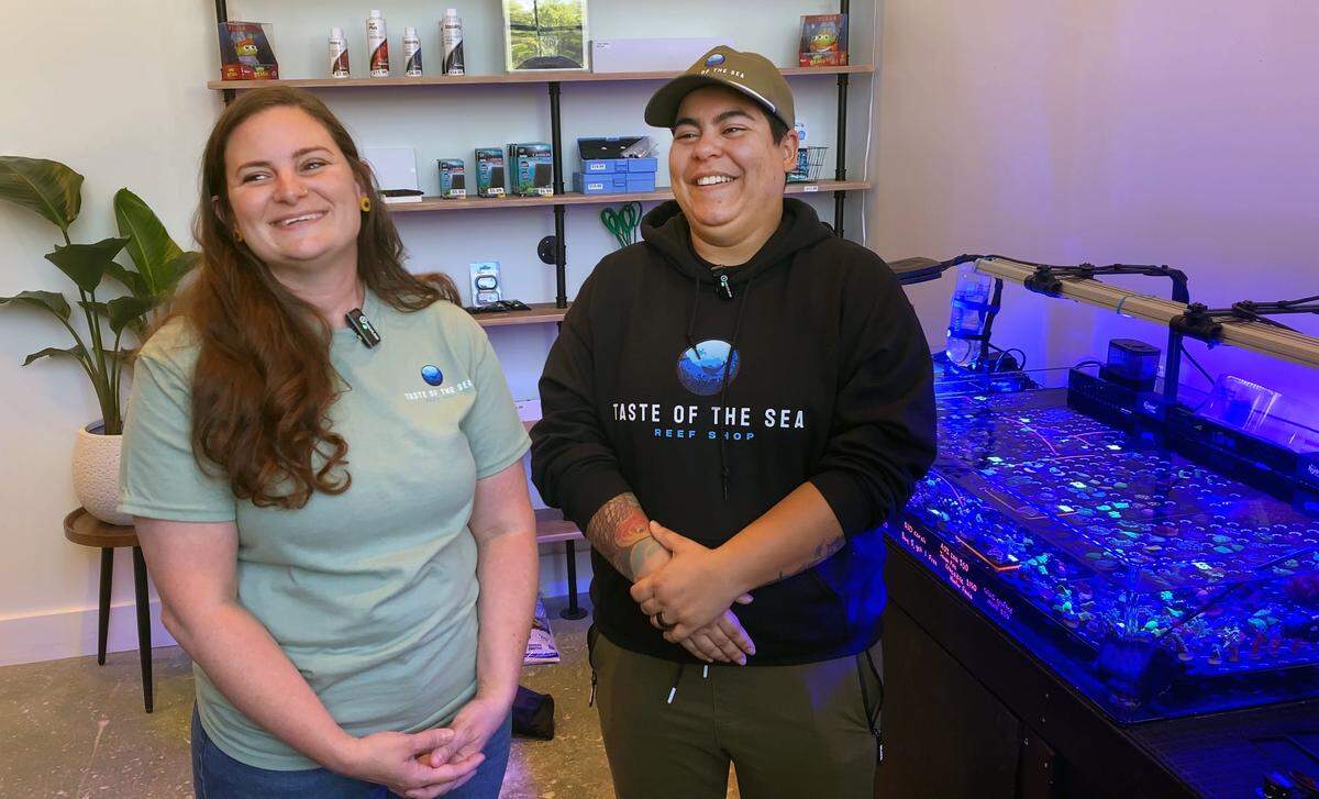 Taste of the Sea Reef, a shop specializing in live corals and aquarium supplies, has opened inside Highside Market, 211 13th Street, as part of StartUP Columbus’ Retail Lab. Co-owners Marissa, left, and Ashley Marrero, pictured April 21, 2026, told the Ledger-Enquirer their business focuses on selling live corals, fish supplies and equipment for people interested in coral propagation.