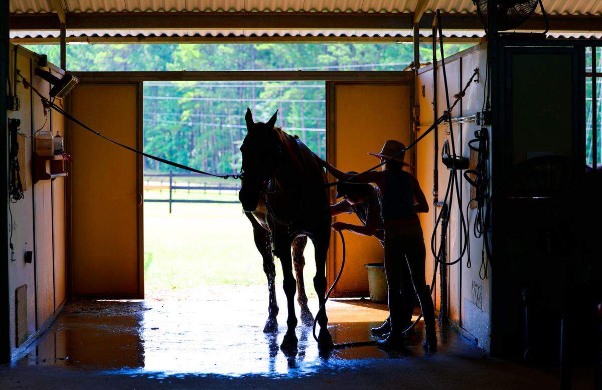 Olivia Oney, right, and a student, wash down a horse at Double O Sporthorses, in Hamilton, Georgia, after a recent lesson.