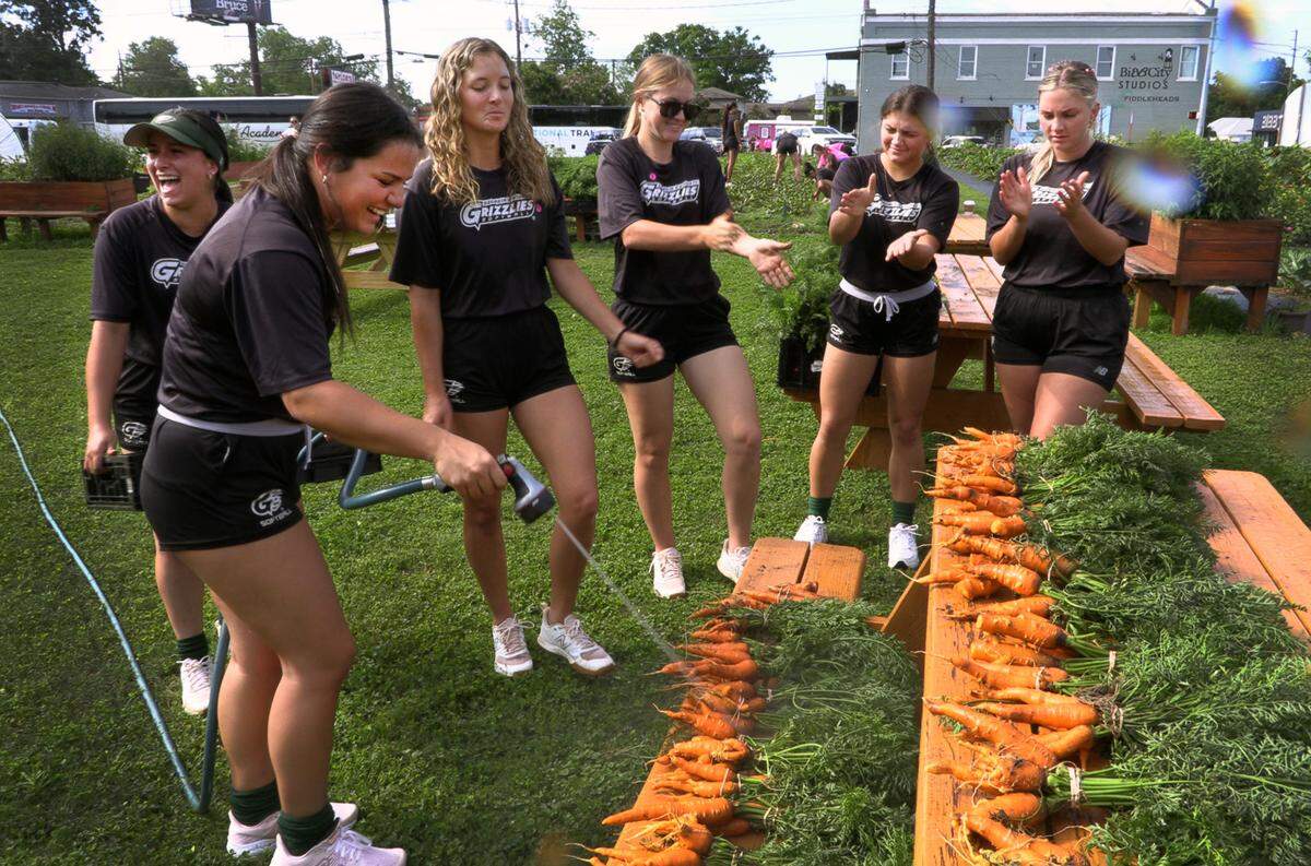 Members of the Georgia Gwinnett Grizzlies softball team harvested carrots at Mercy Med Farm in Columbus Gwinnett Grizzlies during the Champions of Character community service effort in Columbus’ Mill District community. 05/22/2024