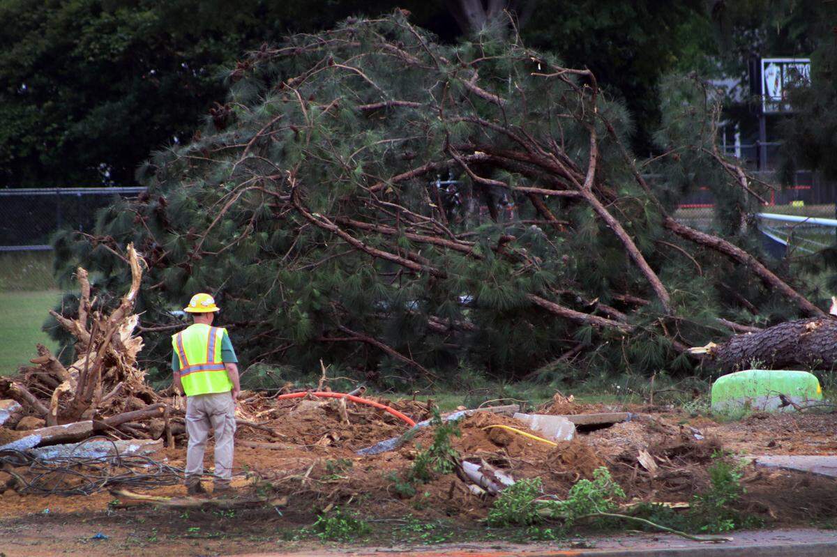 Workers took down trees Tuesday at Golden Park in Columbus, Georgia. 05/07/2024