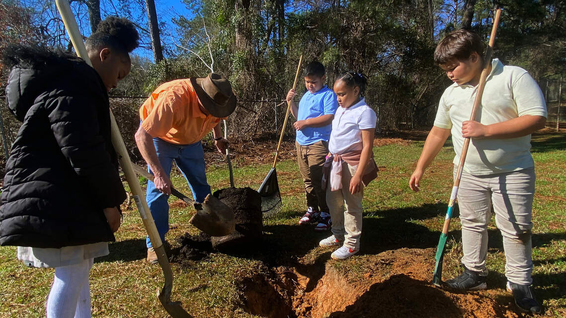 Columbus tree planting grant focused on urban parks is in jeopardy after Trump freeze