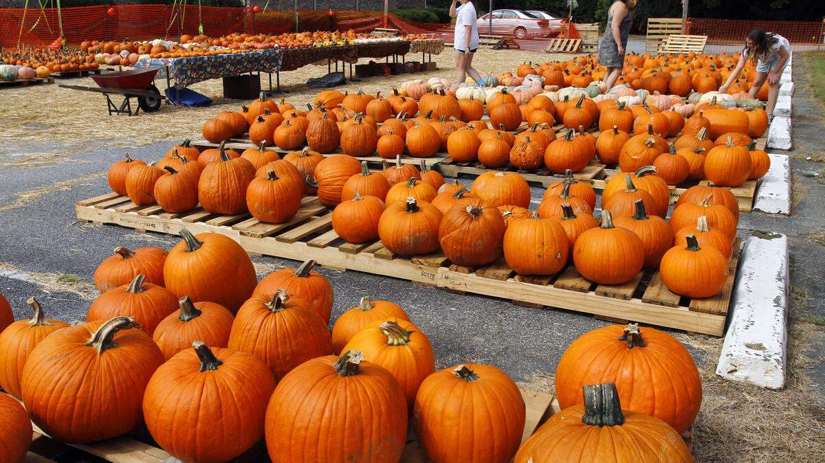 The annual pumpkin patch at Edgewood Presbyterian Church, 3617 Macon Road in Columbus, is pictured in October 2019.