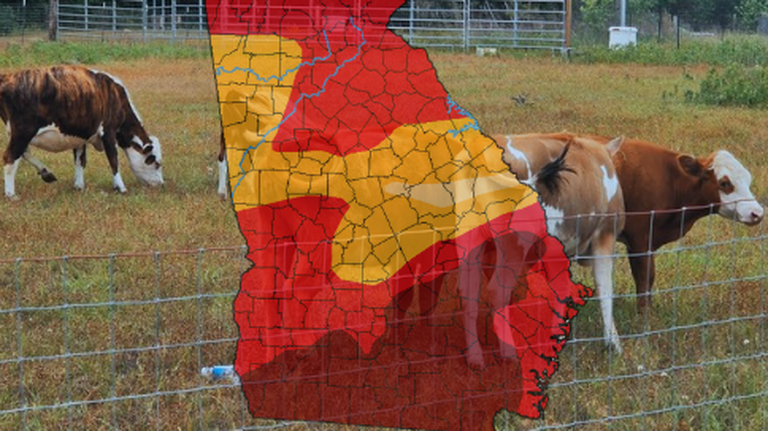 An ‘impossible’ situation for GA farmers. Drought could mean water restrictions