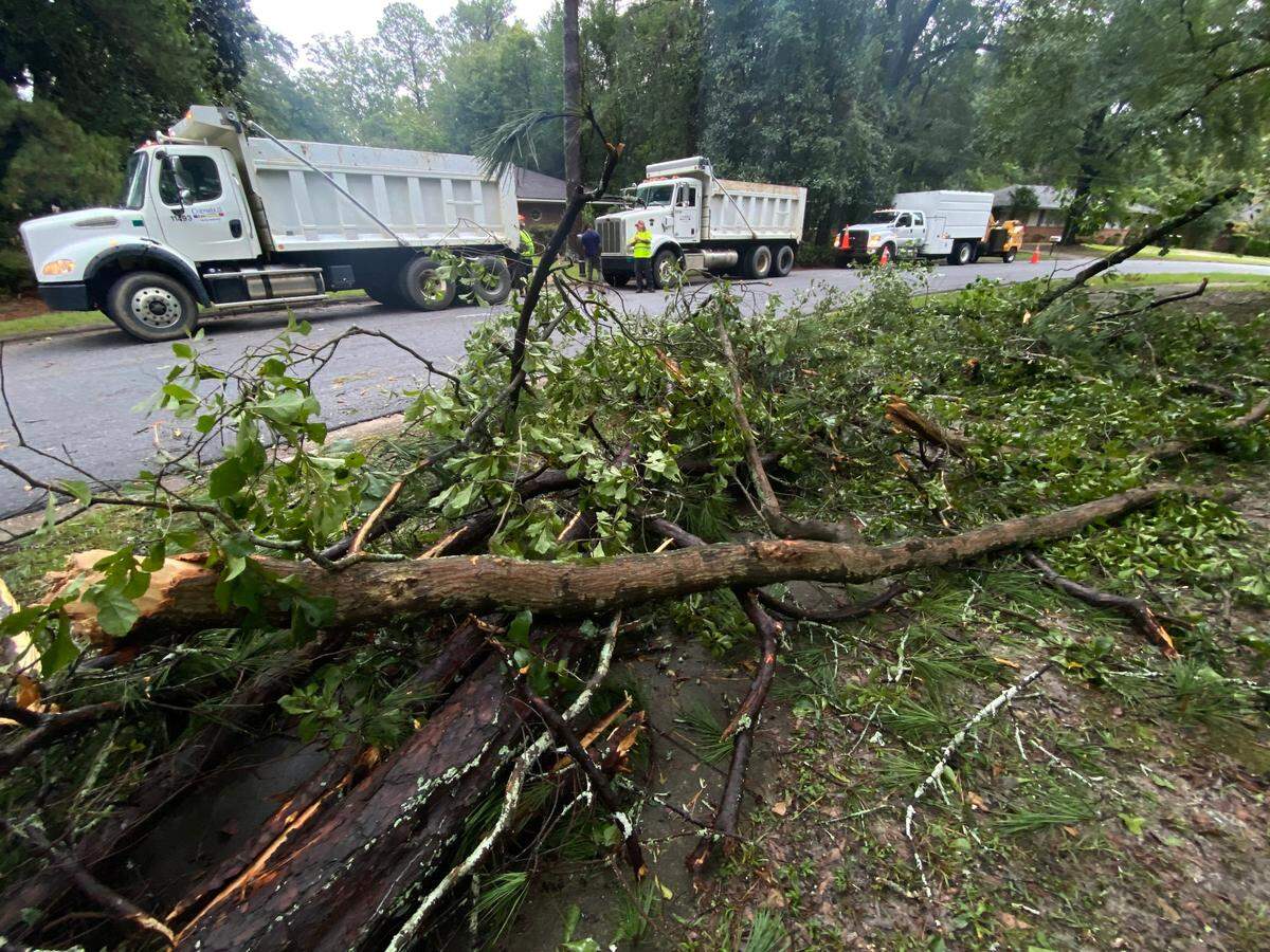 City workers remove tree debris on East Lindsay Drive near the intersection with Meadowbrook Drive on Sept. 27, 2024, after the storm associated with Hurricane Helene.