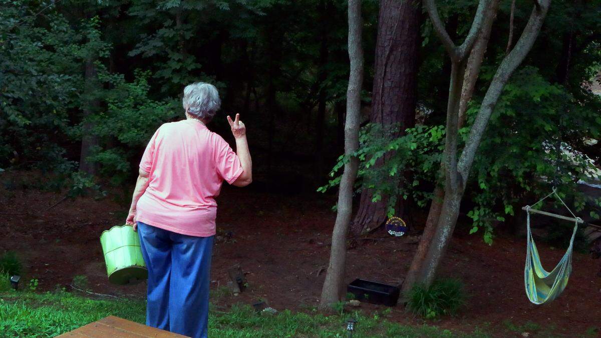 Susan Massey indicates she sees two deer in the backyard of her Columbus home, June 19, 2025.