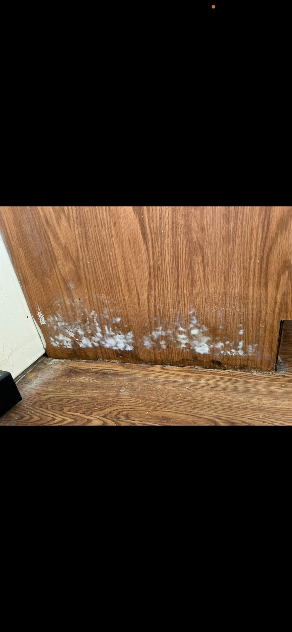 Leighann Morris said her family’s home at Fort Benning, managed by The Michaels Organization, was infested with mold, as seen here on a cabinet.