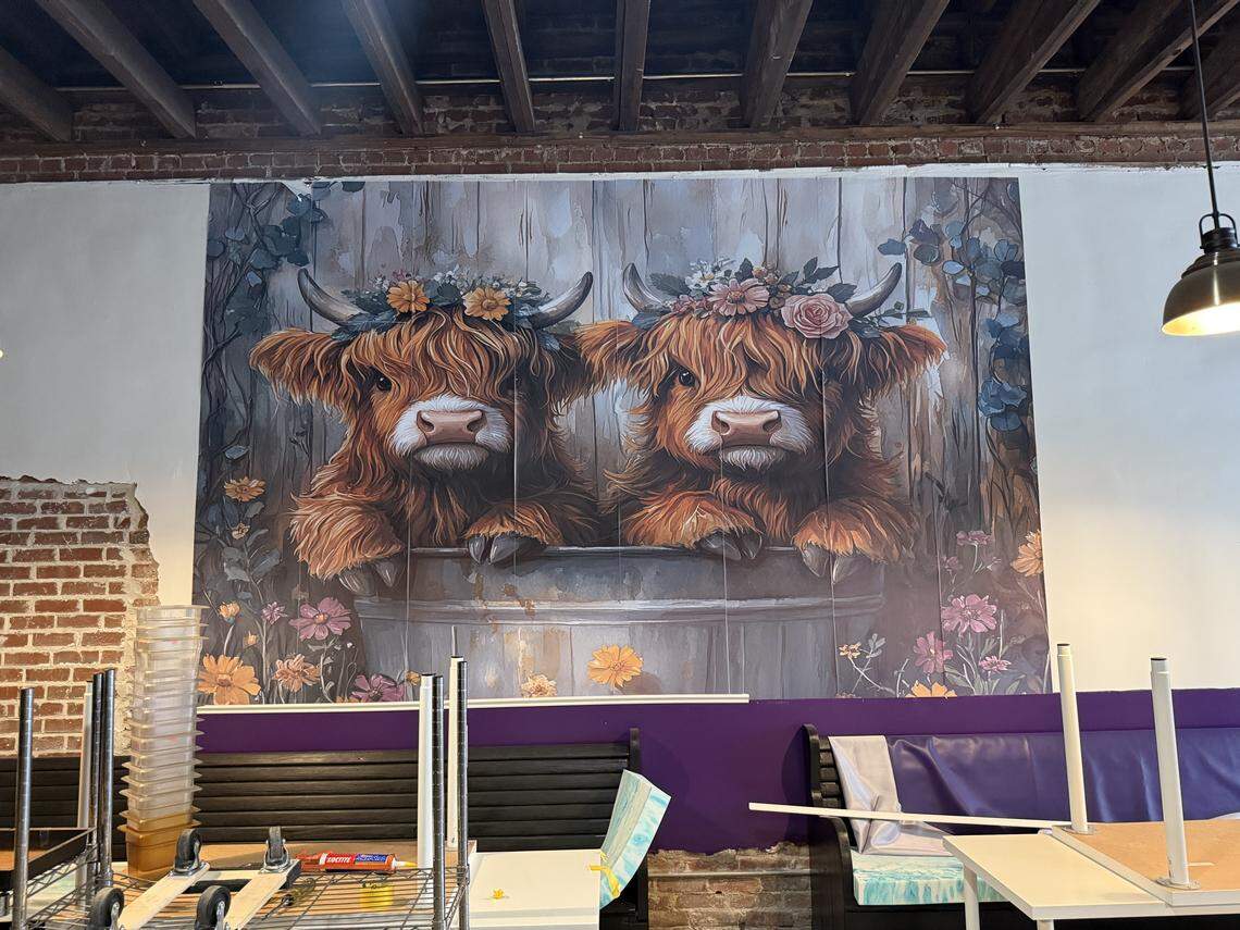 Real estate developer Jennifer Flournoy plans to revitalize part of midtown Columbusr. One of the businesses preparing to open within the next month is a Scottish cuisine restaurant called The Caledonia. This mural is in their storefront on Wynnton Road.