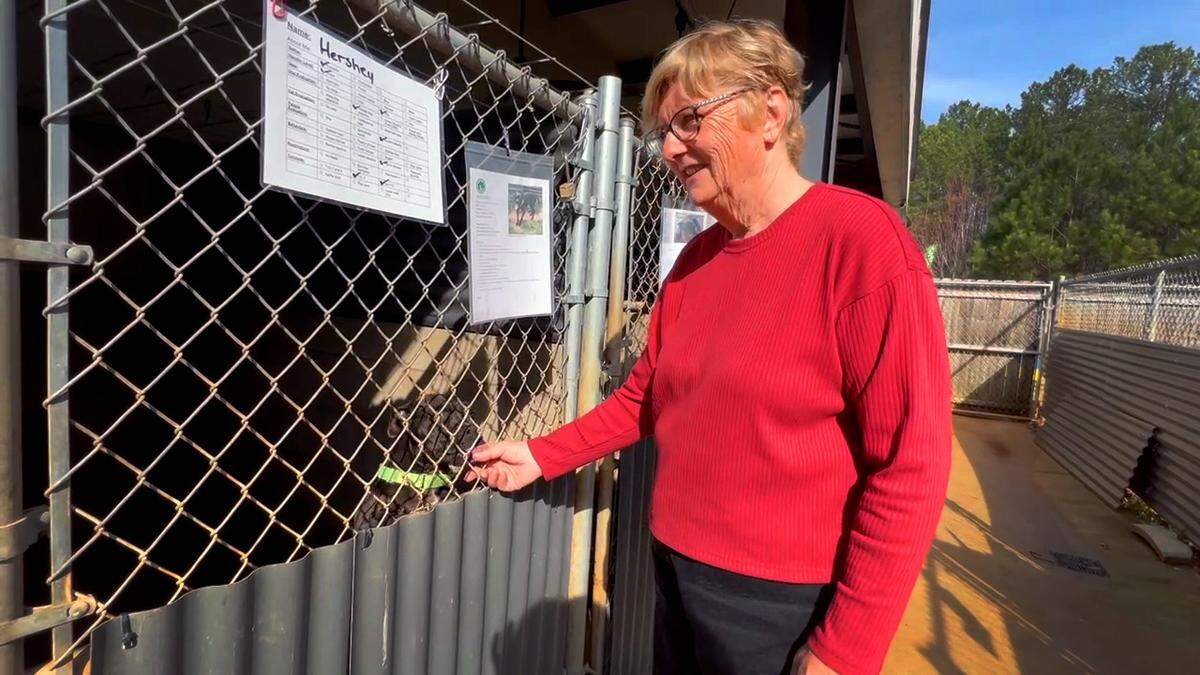 Kathryn Genova is the executive director of the Humane Society of Harris County.