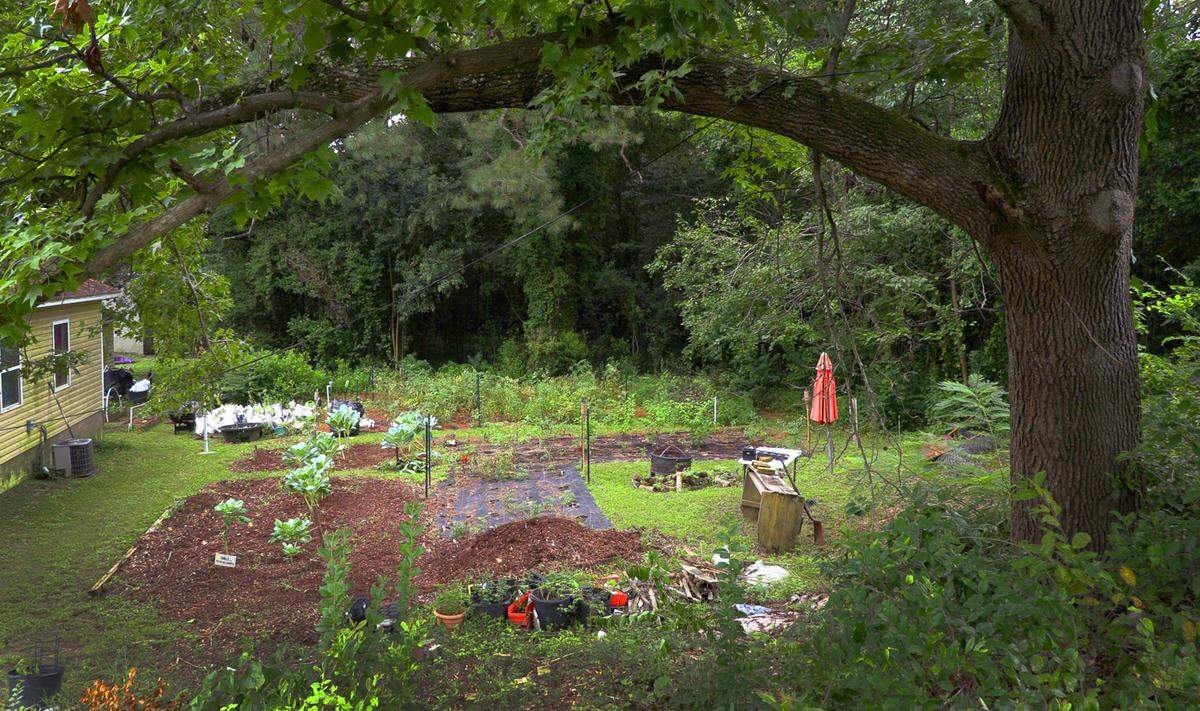 DurtyBeets, founded and owned by Abike Alexander, focuses on urban agriculture, meal preparation and in-home chef services, and education programs such as gardening workshops and nutritional meal preparation workshops.