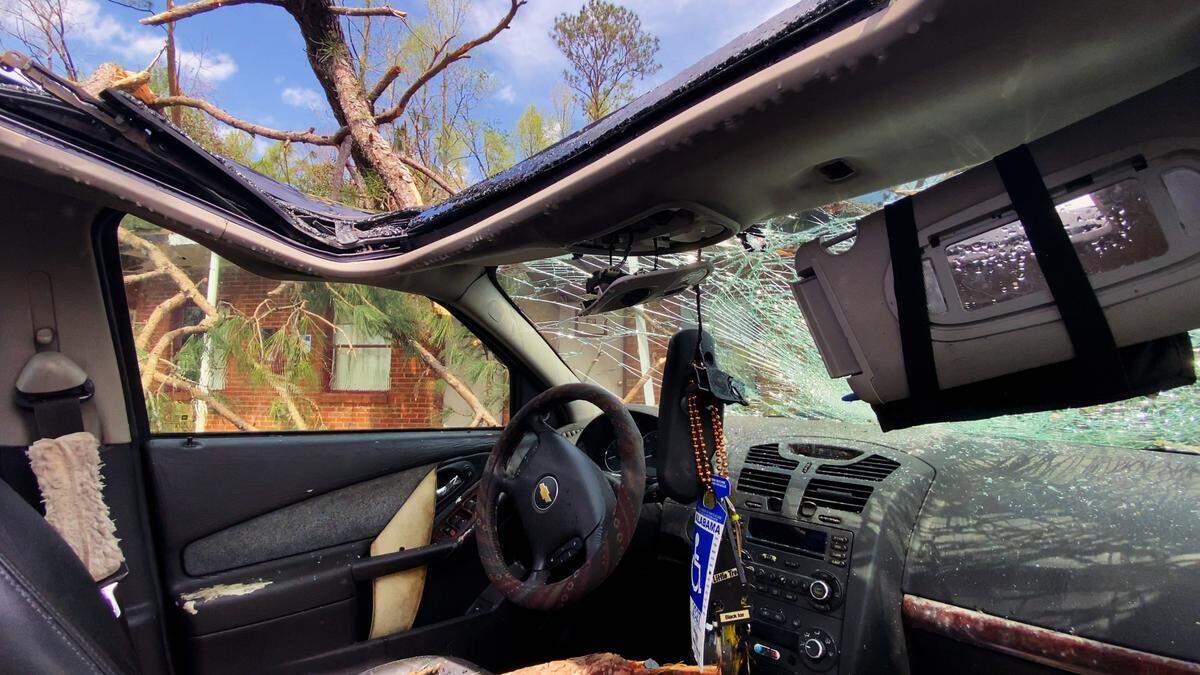 A car parked in the West Point Motel parking lot sustained damage from a nearby fallen tree and its branches. 03/27/2023