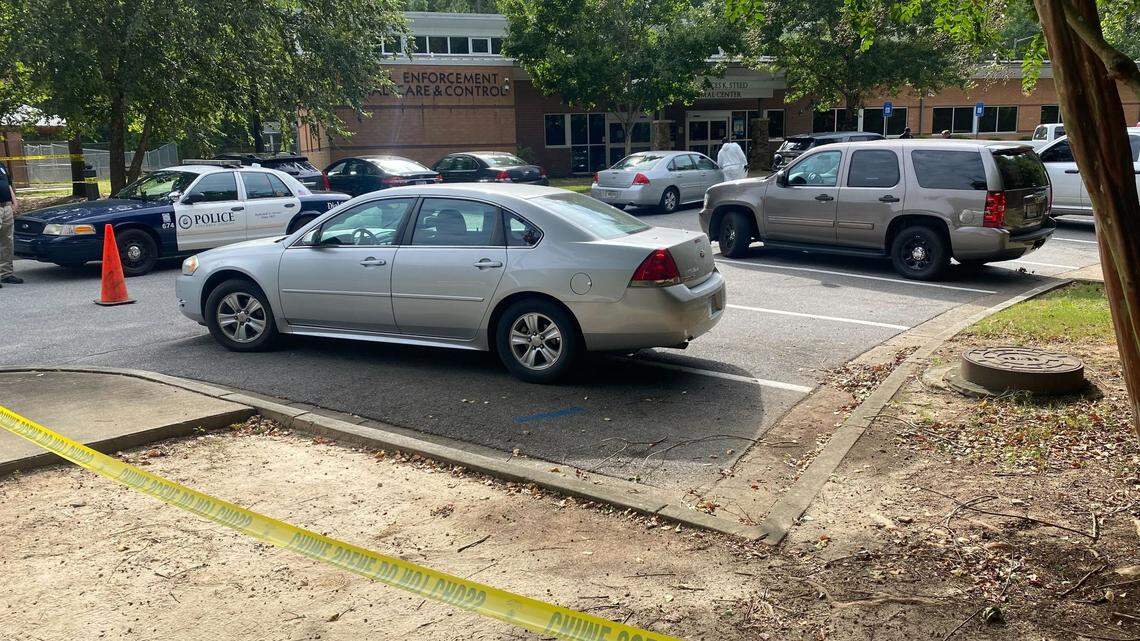 Columbus Animal Care & Control workers charged in ongoing investigation, councilwoman says