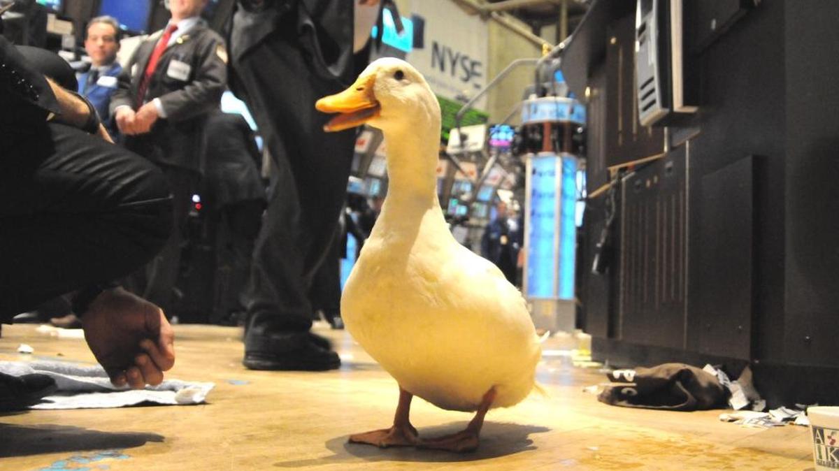 The Aflac duck makes an appearance on the floor of the New York Stock Exchange. --