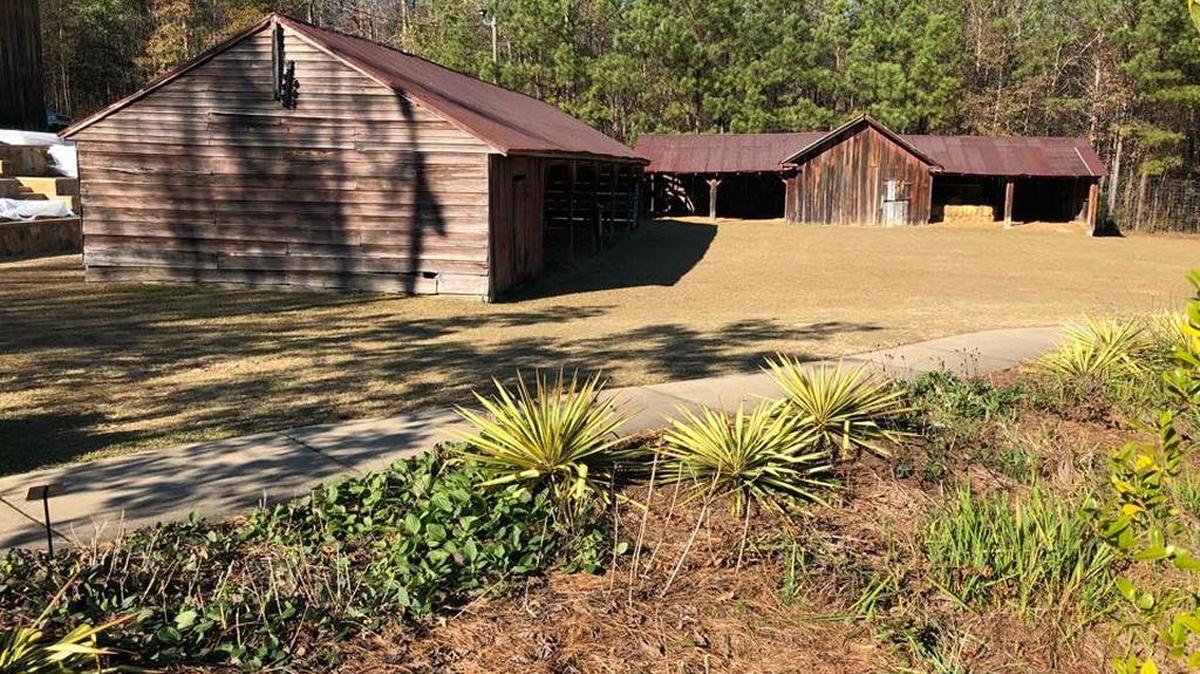 The Columbus Botanical Garden is located on 23 acres off Weems Road. The property, dedicated in 2004, is adjacent to the sprawling Columbus Park Crossing hub on the city’s north side. --