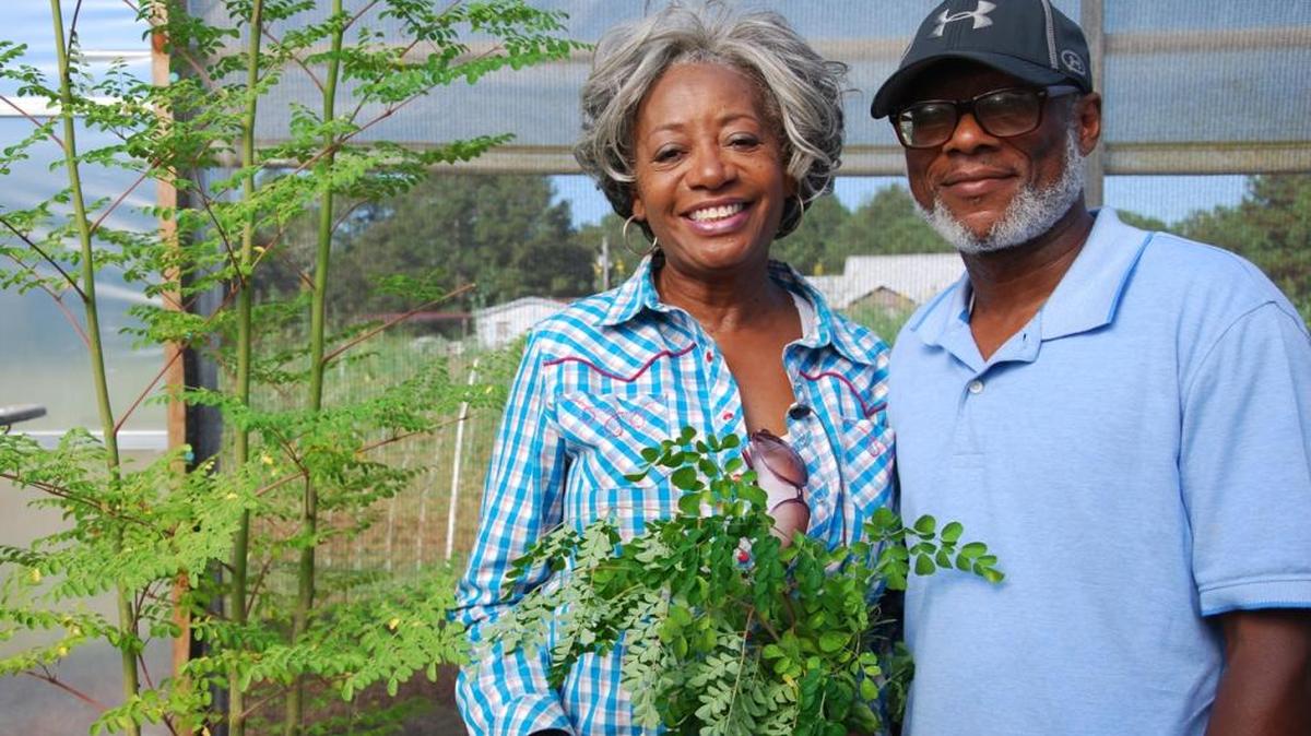 Jewell and Russell Bean own and operate S&B Farm, an 88-acre property near Lake Eufaula in Eufaula, Ala., just south of Columbus. The two recently were named 2017 Small Farmers of the Year by the Alabama Natural Resources Conservation Service. --