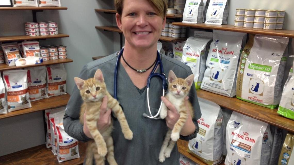 Treating and caring for furry felines has long been a calling for Dr. Kim Kees