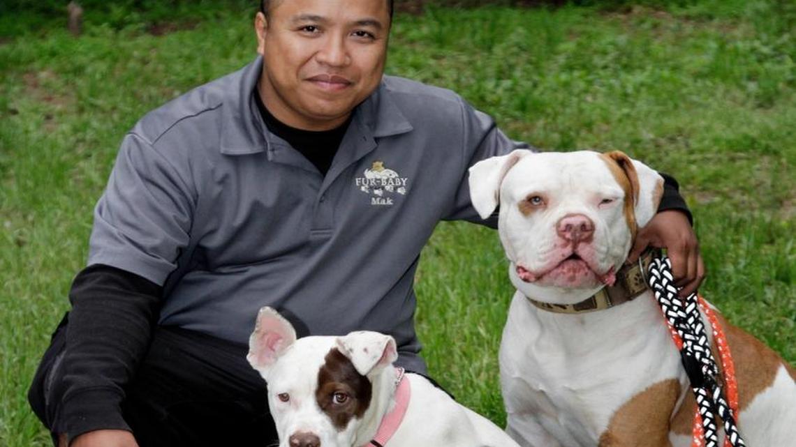 Combat veteran Mak Son cares for pets at Fur-Baby