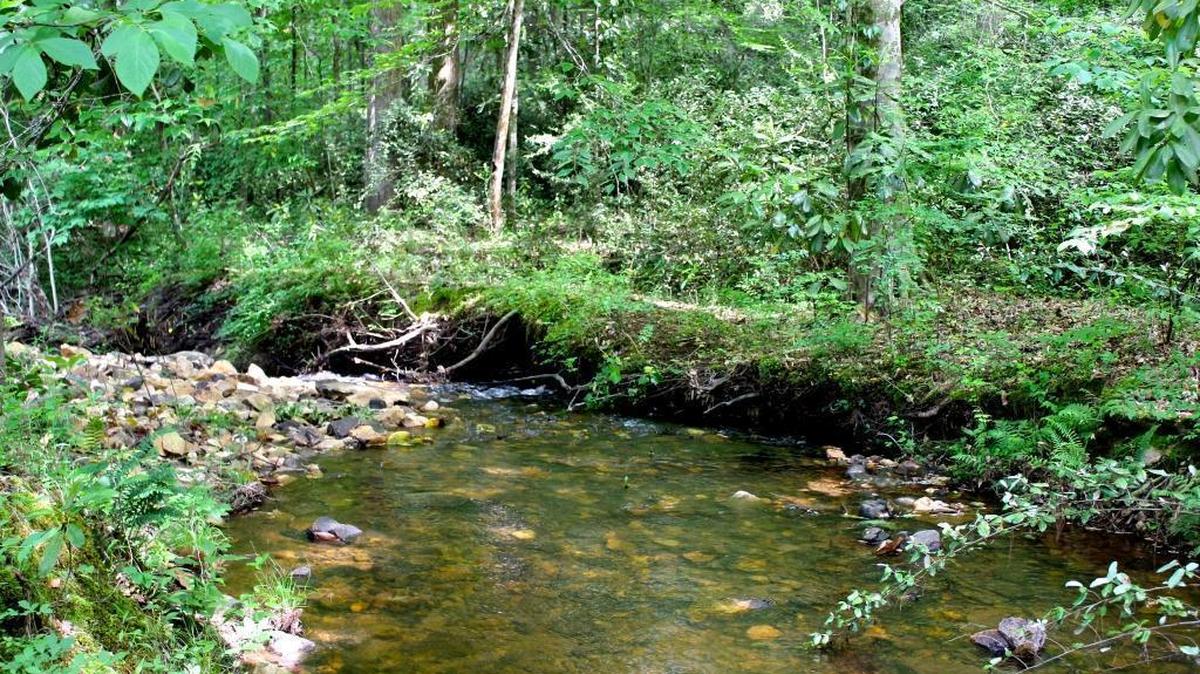 The 7,456 acres of land known as the Cason Callaway Woodland Estate in Harris County, just north of Columbus, is being sold for $42.5 million. The pristine property, with its hardwood forests, rolling hills and meandering streams, is similar to that of another piece of property (shown above) being sold by the Ida Cason Callaway Foundation for just over $5.8 million. The Lodge at Blue Springs, the former home of the Callaway family in Georgia, is on the National Register of Historic Places. --