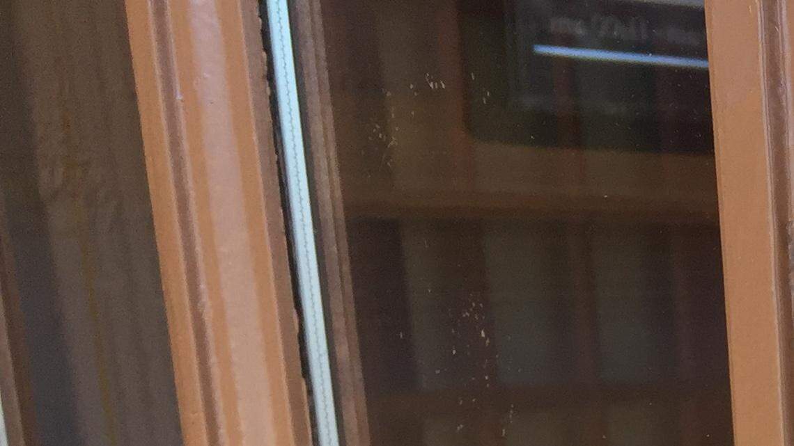 This sign was posted on the door of Ryan's the morning of Feb. 4. The store was one of 74 that closed within parent company Ovation Brands. 